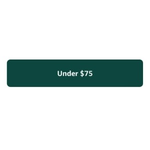Shop Gifts Under $75