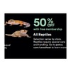50% off All Reptiles