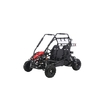 Coleman 196cc Gas-Powered Two-Seater Go Kart