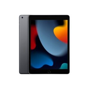 Apple 10.2-Inch iPad (9th Generation) 64GB Wi-Fi Tablet