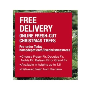 Free Delivery Online Fresh-cut Christmas Trees