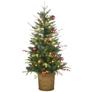 National Tree Company 4 ft. Scotch Creek Fir Entrance Artificial Christmas Tree with LED Lights