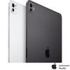 Apple 11 in. iPad Pro Wi-Fi 256GB with Standard Glass