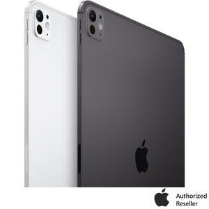 Apple 11 in. iPad Pro Wi-Fi 256GB with Standard Glass