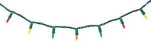 Holiday Living  100-Count Multicolor LED Christmas String Lights