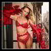 40% off Bras
