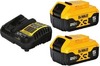 DEWALT 20-V 2-Pack Lithium-ion Battery and Charger (5 Ah)