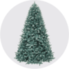 Holiday Deals
